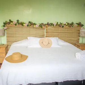 4-san-fernando-chivitas-bacalar-villa-jimmy.quintano-roohotels.com/